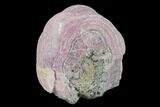 Botryoidal Pink-Purple Smithsonite - Mexico #134033-1